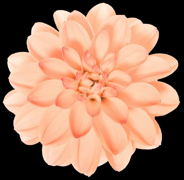 auth image